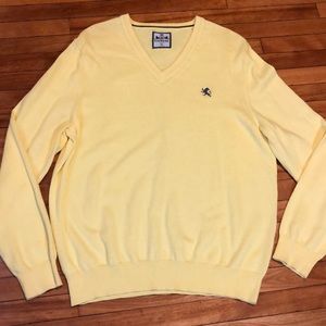 Express v-neck sweater